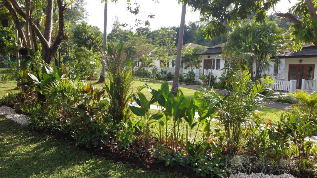 Photo of Others in Ko Lanta