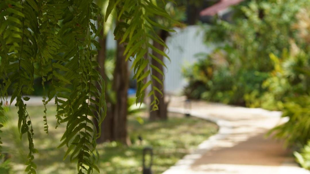 Photo of Others in Ko Lanta