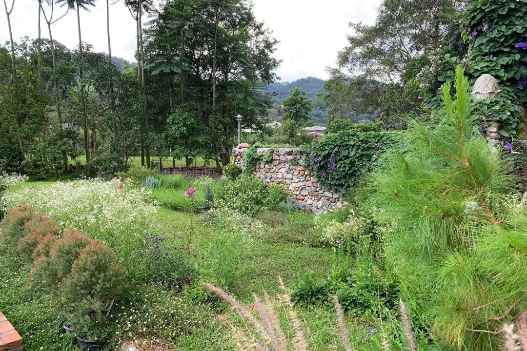 Photo of Others in Pong Yaeng
