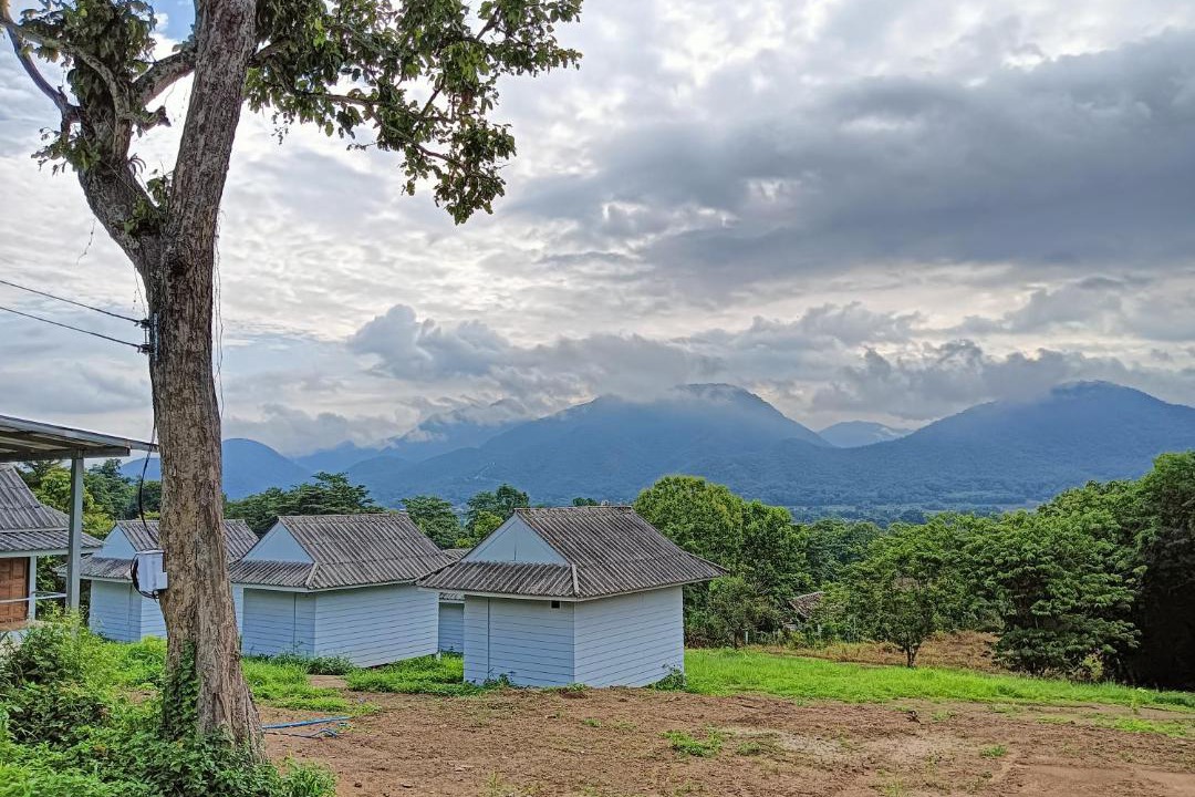 Photo of Others in Pai