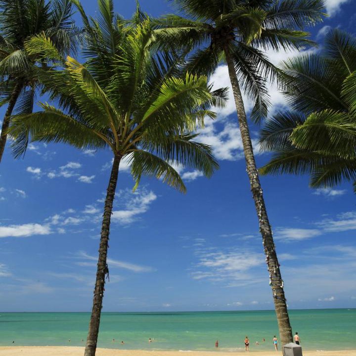Photo of Others in Khao Lak