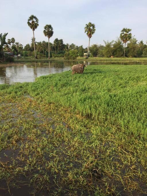 Photo of Others in Siem Reap