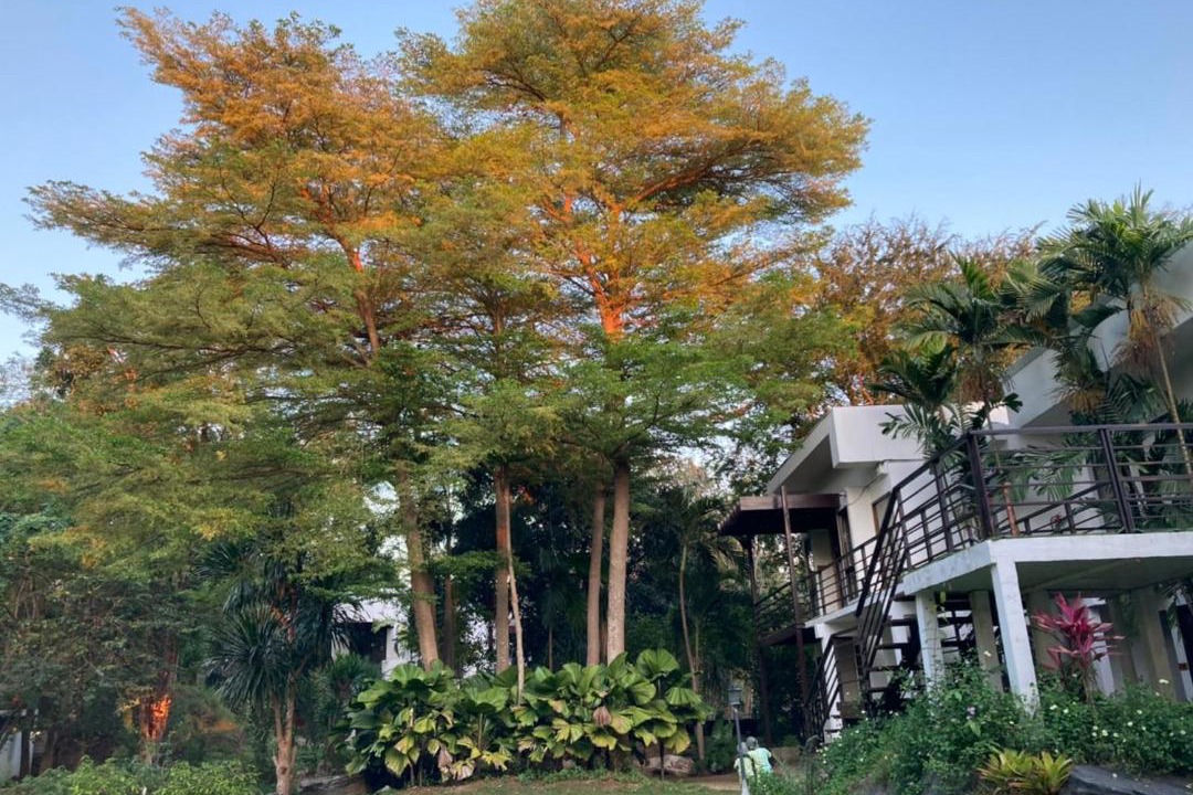 Photo of Others in Khanong Phra