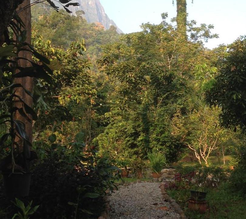 Photo of Others in Chiang Dao