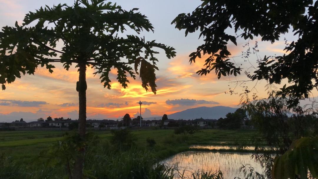 Photo of Others in San Kamphaeng