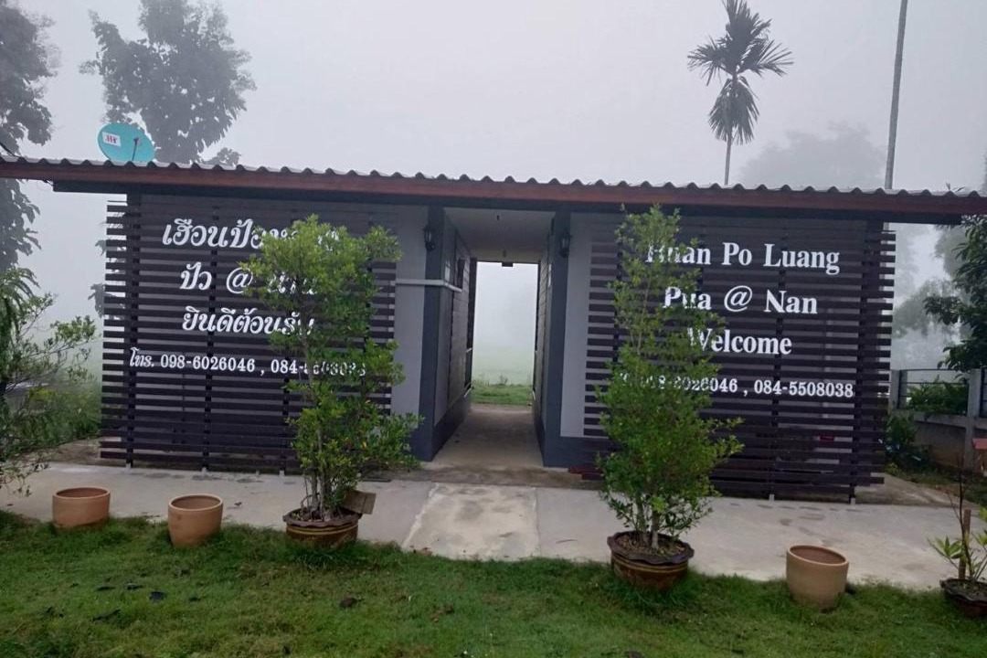 Photo of Others in Pua