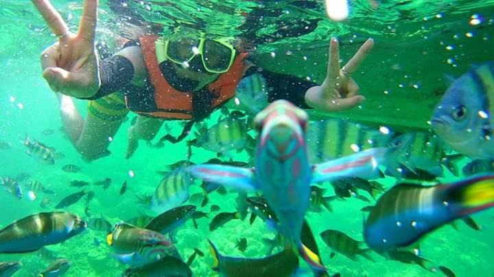 Photo of Others in Satun