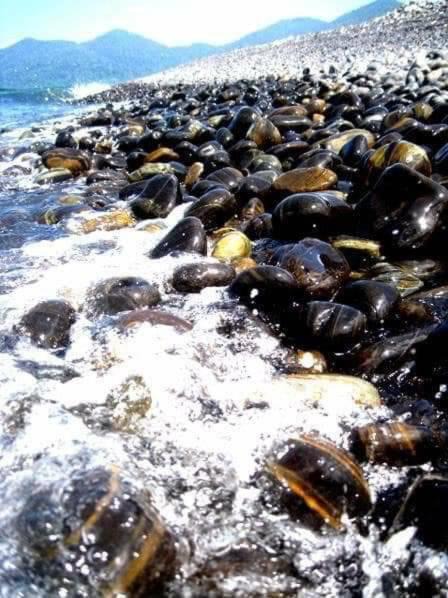 Photo of Others in Satun