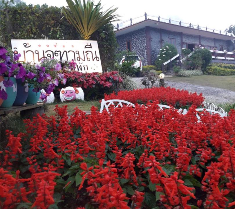 Photo of Others in Sado Phong