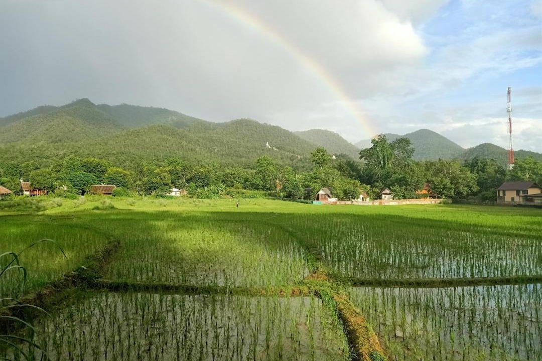 Photo of Others in Pai