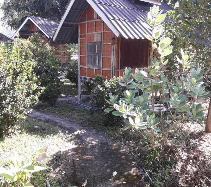 Photo of Others in Pai
