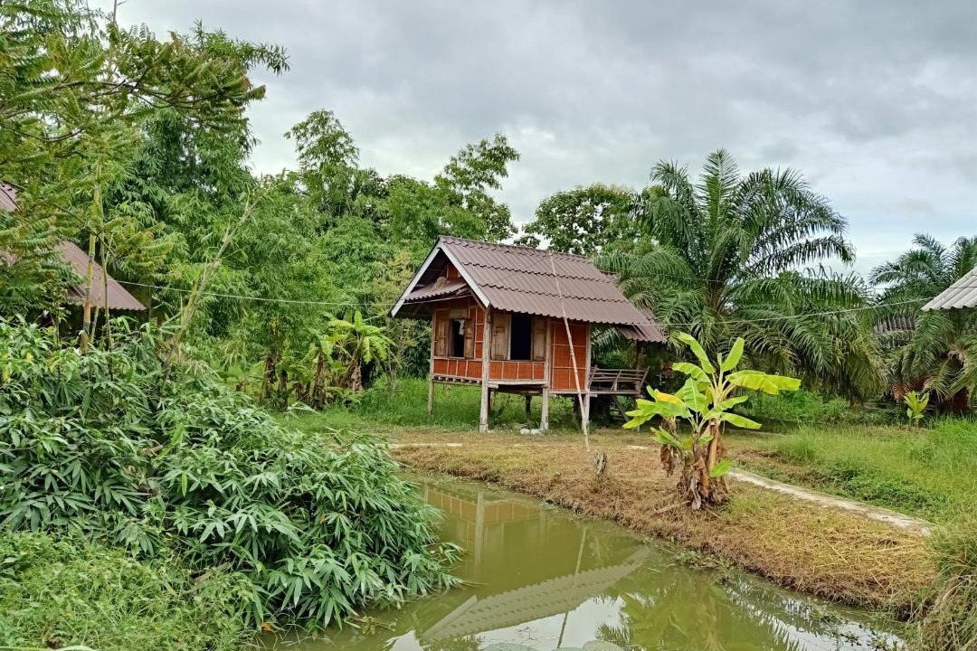 Photo of Others in Pai