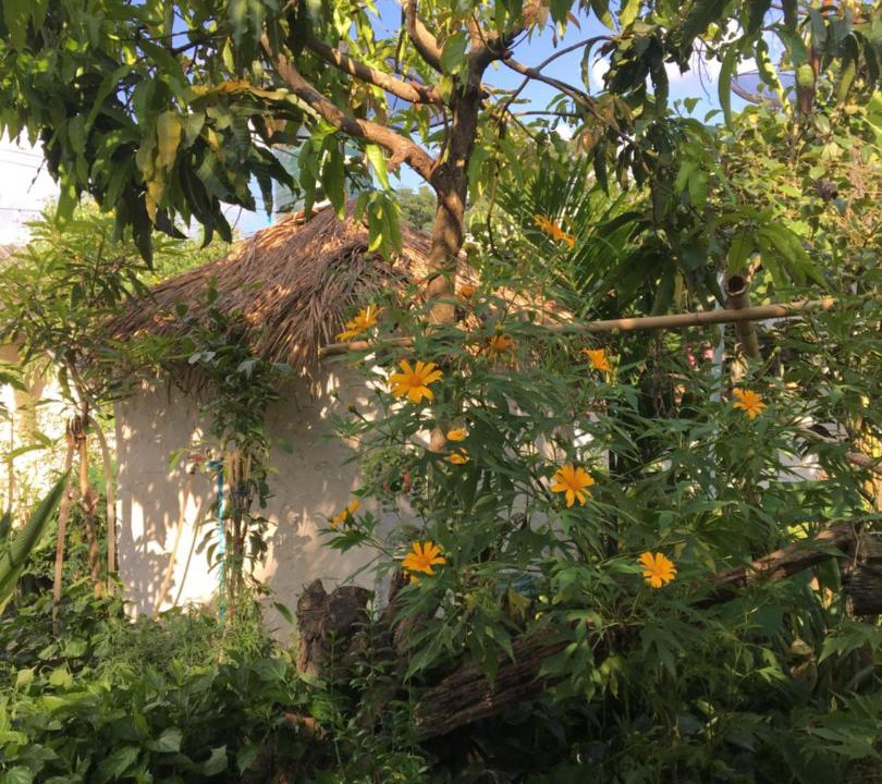 Photo of Others in Chiang Dao