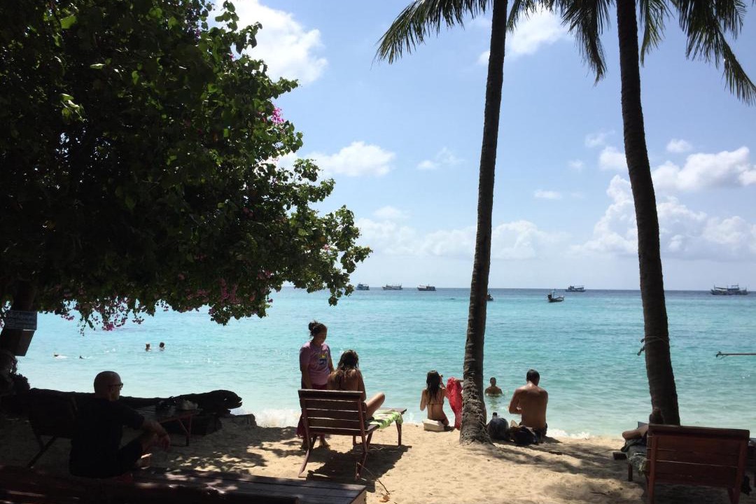 Photo of Others in Koh Tao