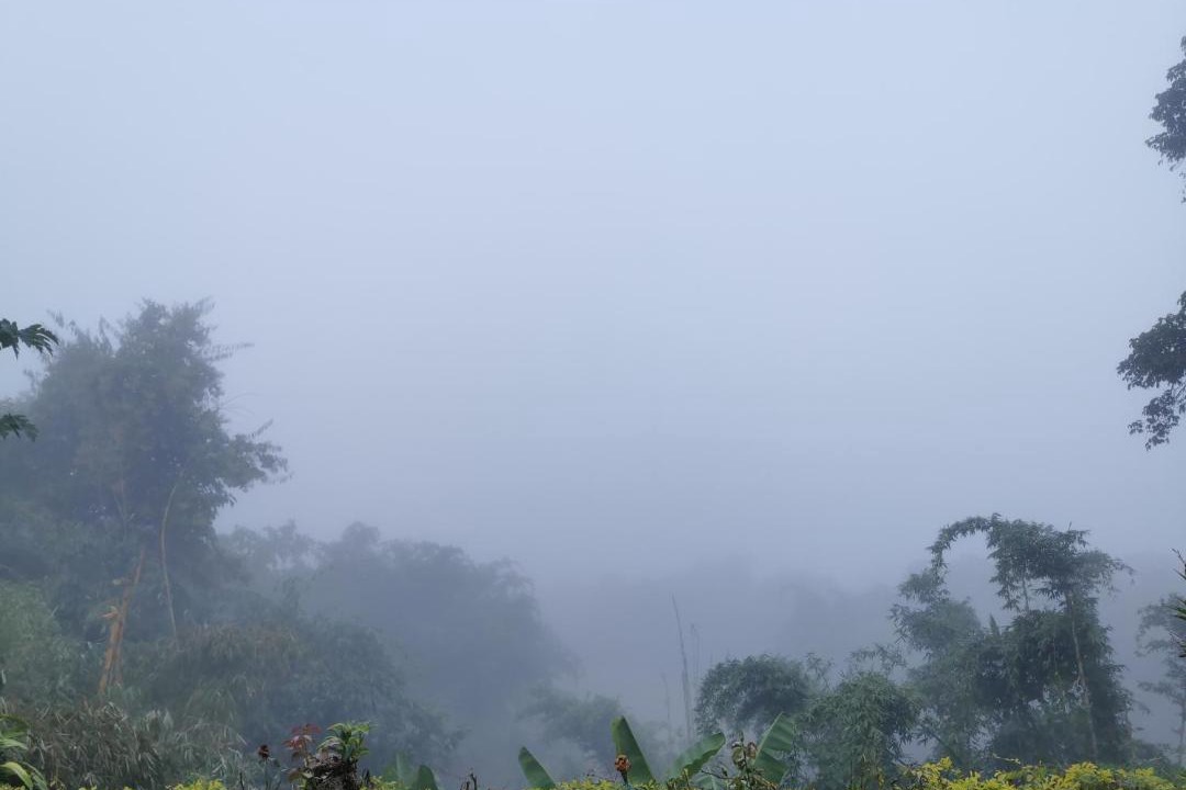 Photo of Others in Chiang Dao