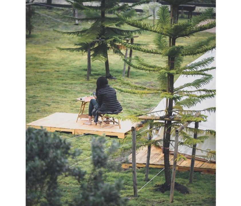 Photo of Others in Pai