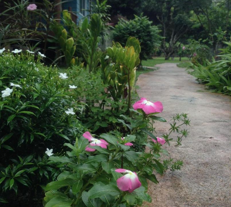 Photo of Others in Chiang Dao