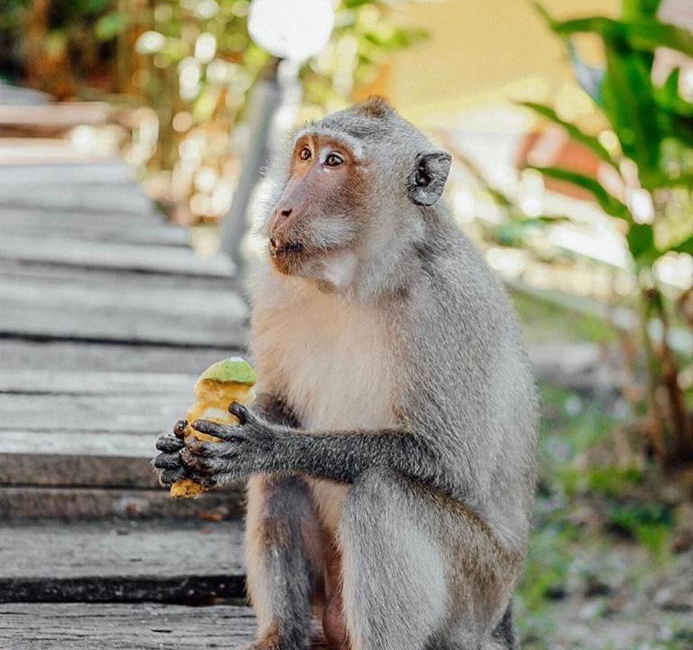 Photo of Others in Bai Lan