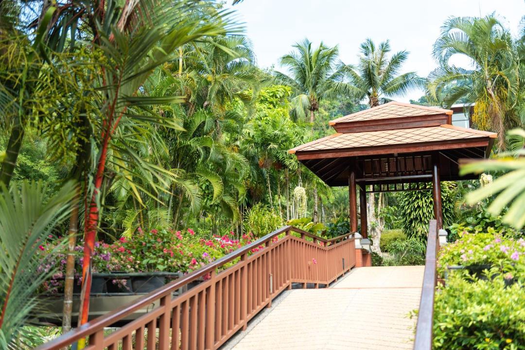 Photo of Others in Khao Lak