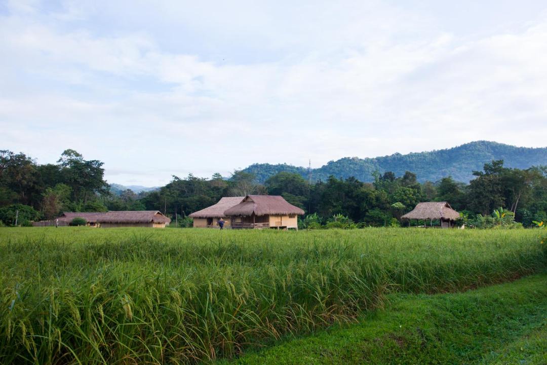 Photo of Others in Mae Taeng