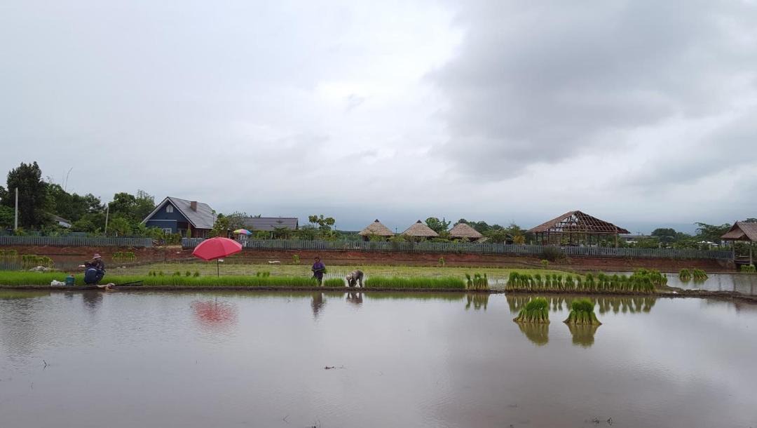 Photo of Others in Sop Ruak