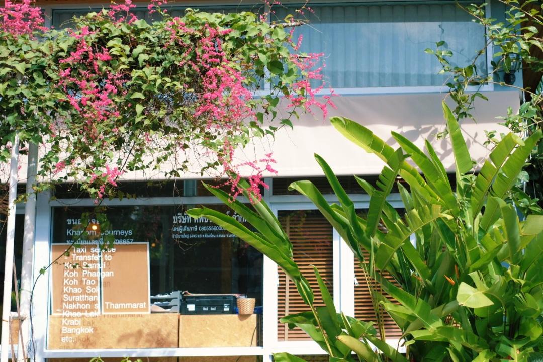 Photo of Others in Thong Nian