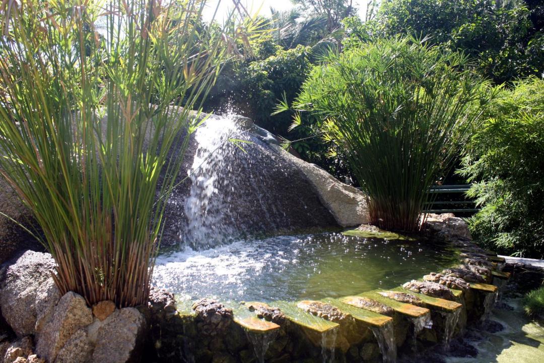 Photo of Others in Baan Tai