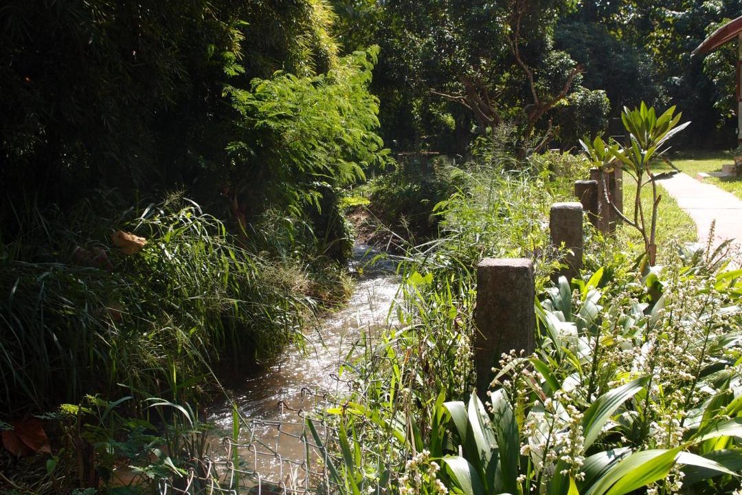 Photo of Others in Chiang Dao