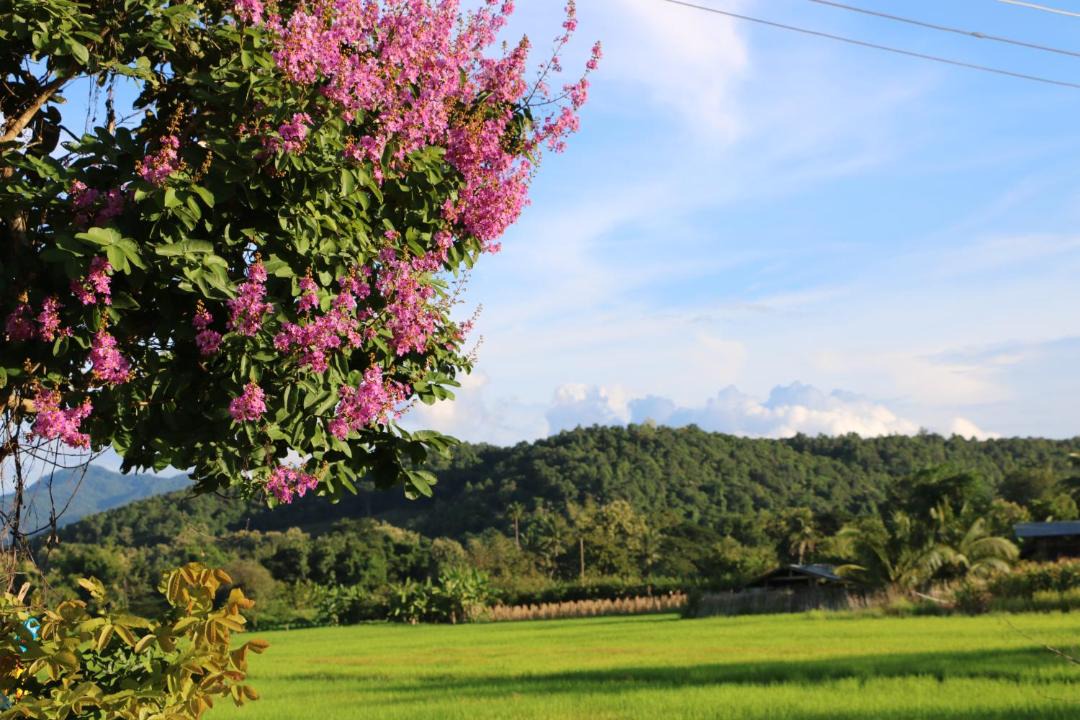 Photo of Others in Na Noi