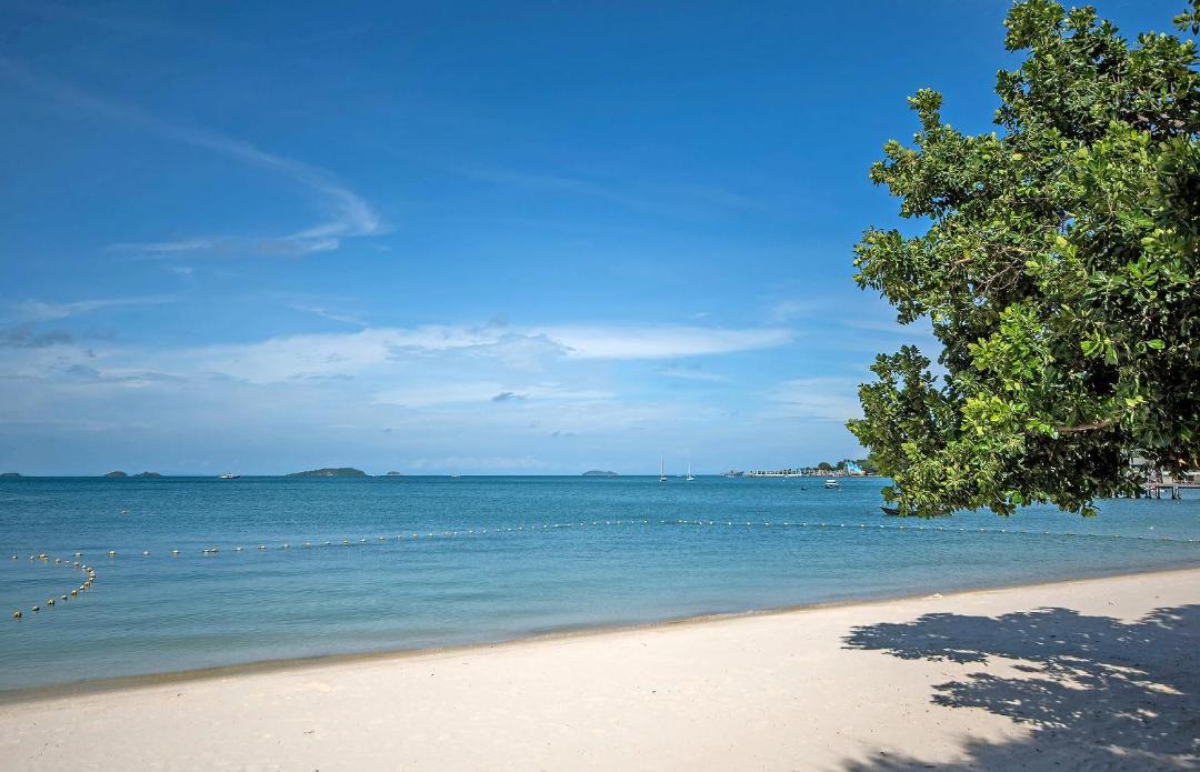 Photo of Others in Rayong