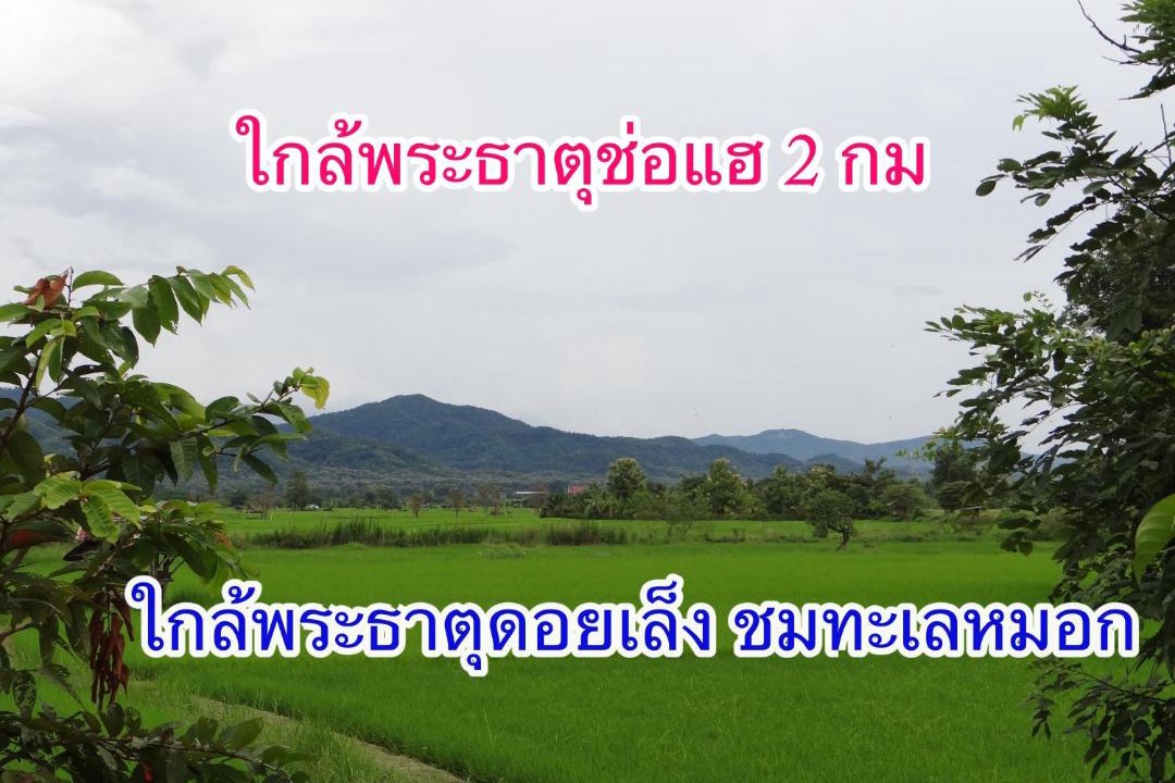 Photo of Others in Phrae
