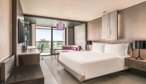 Room, 1 King Bed
