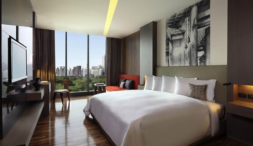 Room, 1 King Bed (SO Cozy)