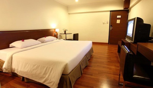 Superior Double or Twin Room