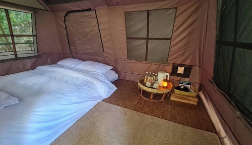  Tent, Forest View