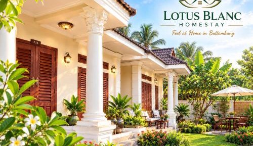 Superior Villa