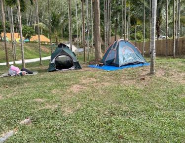 Tent with Garden View
