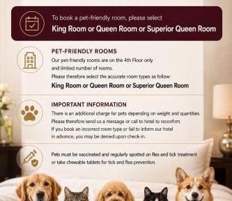 Superior Queen Room