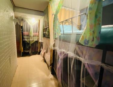 Bed in 6-Bed Mixed Dormitory Room