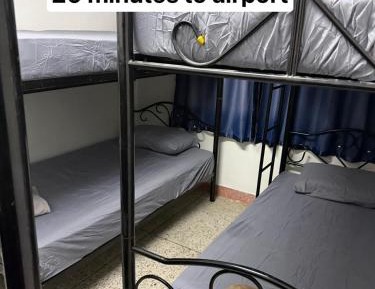 Bunk Bed in Mixed Dormitory Room