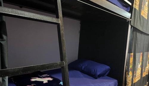 Bunk Bed in Male Dormitory Room 