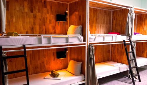 Bunk Bed in Mixed Dormitory Room