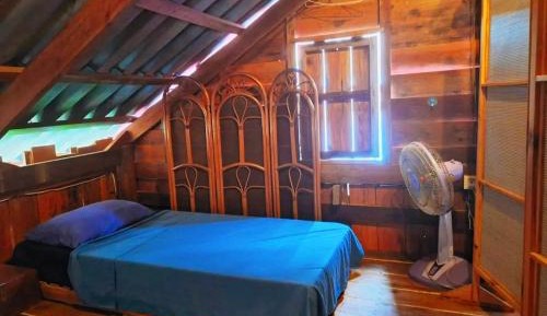 Bed in 6-Bed Mixed Dormitory Room