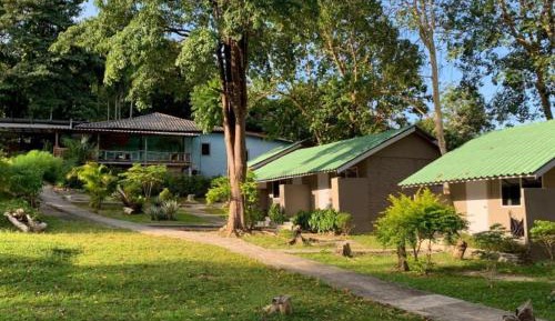 Double Room with Garden View