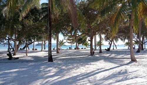 Bungalow - Beach Front