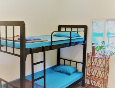 Bed in 4-Bed Dormitory Room