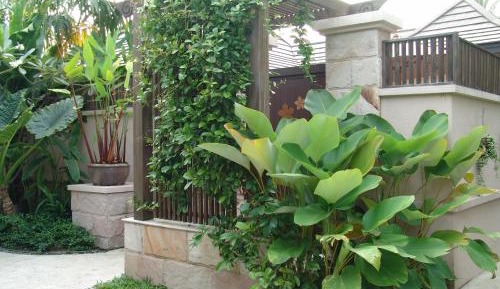Premier Pool Villa