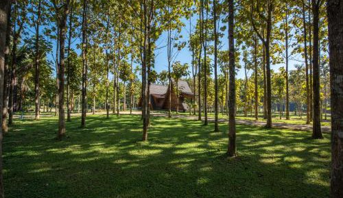Double Room with Garden View