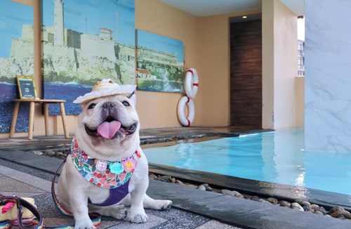Central Pattaya Hotel | Quba by Montraj Pattaya, previously The Quba Hotel Pattaya