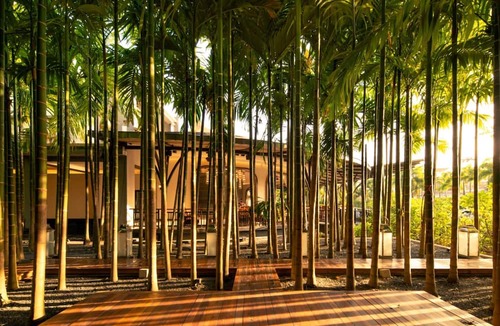 Kathu Hotel | Areca Resort & Spa